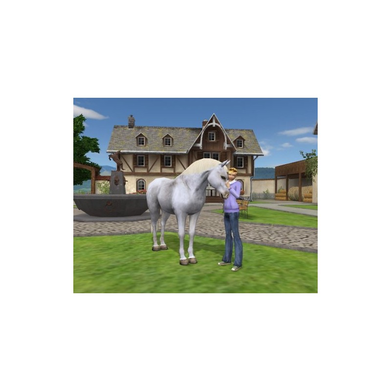 Mein Gestüt: Ein Leben für die Pferde