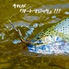 Fishing Lure Set, Vmsixvm, Fishing Tackle Set, Management Fishing Sites,