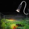 Terrarium Lamp Holder Tortoise Heat Lamp Clamp Light Lamp Holder