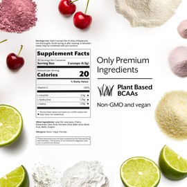 Promix BCAA Post-Workout Energy Powder - 5g Micronized BCAAs, Sugar Free, Plant Based, Vegan, Keto - Cherry Lime - 30 Servings (Pack of 1)