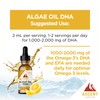 Ascent Nutrition Algae Oil DHA Omega-3's | Vegan and Vegetarian
