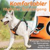 Eagloo Dog Harness for Medium Dogs, Anti-Pull Dog Harness with