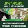 Scotts Turf Builder Healthy Plus Lawn Food, 2-in-1 Fungicide and