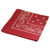 Soophen One Dozen Cowboy Bandanas (15.Wine)
