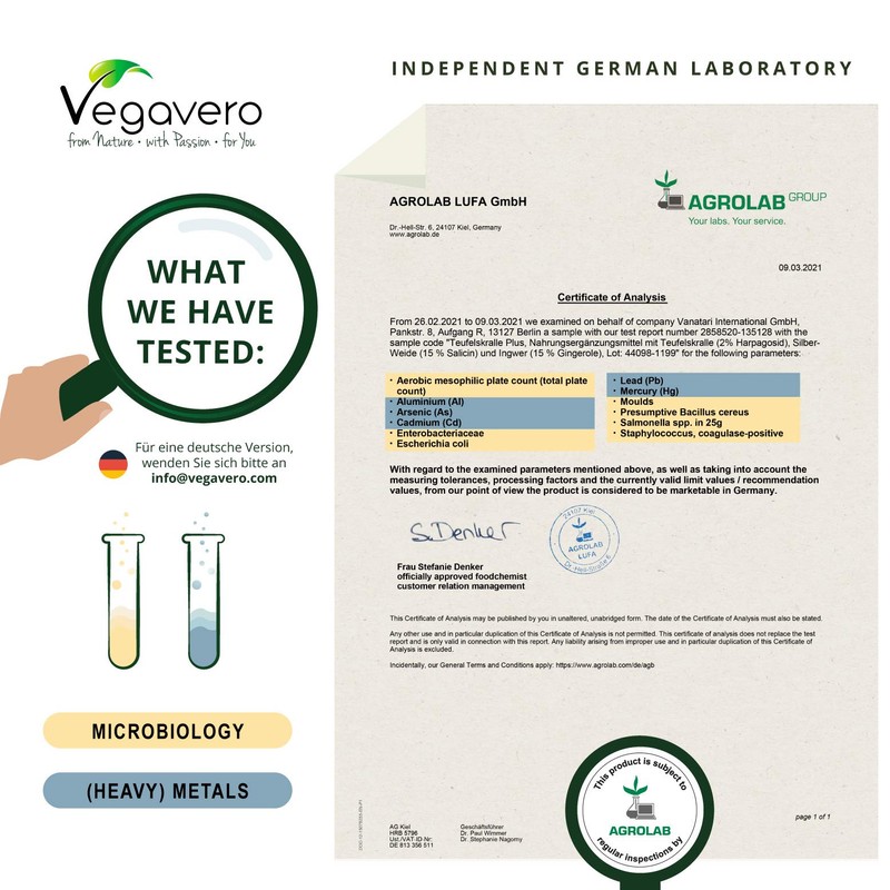 Devil’s Claw Vegavero® | 4400mg (8:1) Extract | 120 Vegan