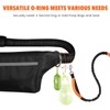 Hands Free Dog Leash with Zipper Waist Pouch Shock-Absorbing Bungee