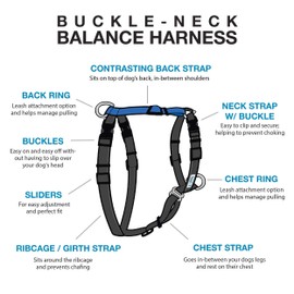 Blue-9 Buckle-Neck Balance Harness, Fully Customizable Fit No-Pull Harness, Ideal for Dog Training and Obedience, Made in The USA, Sky Blue, Medium/Large