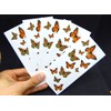 55 Monarch Butterfly Temporary Tattoos