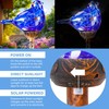 Solar Bird Garden Stake Lights - Hand Blown Glass Decorative