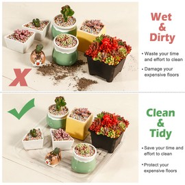 20 Pack Plant Saucers for Indoors 4 Inches Plant Trays for Pots Plastic Trays for Plants Square Plant Drip Trays for Potted Plants Flower Pot Saucers Clear Plant Plates to Catch Water, Bulk