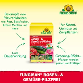 NEUDORFF ROSEN - PILZFREI 16 ML 448