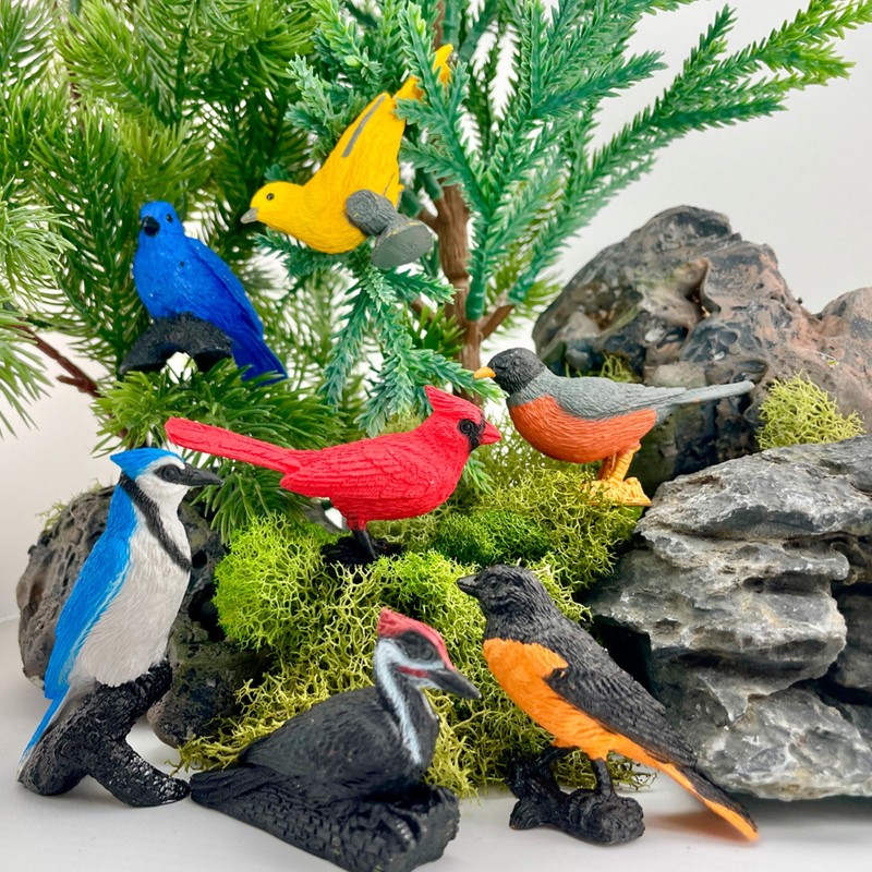 Toob - Backyards Birds