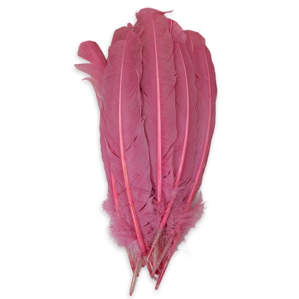 Set of 12 Real Feathers, Decorative Feathers for Wedding, Christmas,