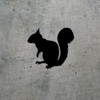 Decal Stickers of Squirrel Silhouette Animal (Black) (Set of 2)