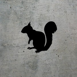 Decal Stickers of Squirrel Silhouette Animal (Black) (Set of 2) Premium Waterproof Vinyl Decal Stickers for Laptop Smartphone Car Dirt Bike Wall Room Mason Jar Bathtub - BICVER1786292BLW19Y24