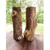 Cedar Grove 2 Eastern Red Cedar Logs Wood Blanks Crafts