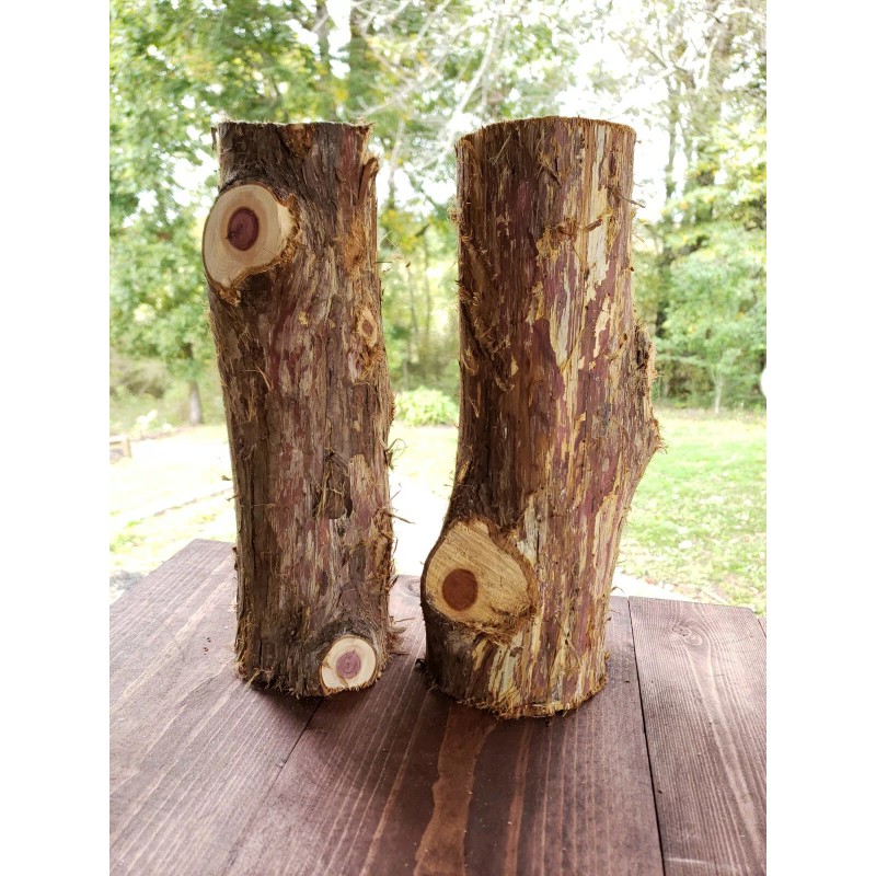 Cedar Grove 2 Eastern Red Cedar Logs Wood Blanks Crafts