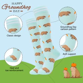 fenglaoda Compression Socks for Women Men Support Circulation 6 Pairs Socks For Nurse, Travel, Flight