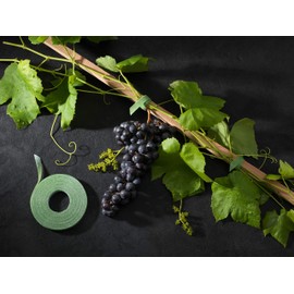 VELCRO 25 1WRAP PLANTTIE 1.2X20CM