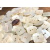 Unbranded 6 Fabulous Iridescent Cream Square River Pearl MOP Buttons