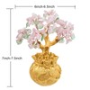 rockcloud Crystal Money Tree with Golden Money Bag, Feng Shui