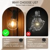 KGC Plastic C7/G40 Replacement LED Light Bulbs - 0.6W Equivalent