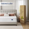Vesgantti 10 Inch Multilayer Hybrid Twin Mattress - Multiple Sizes