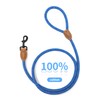 Mile High Life Rope Leash with Genuine Leather Connection, 6