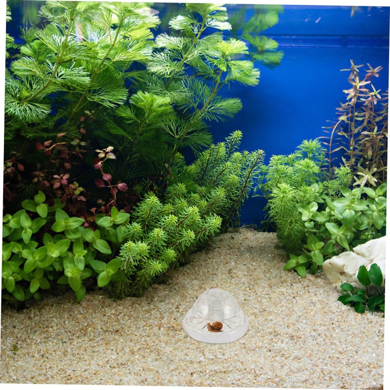 WOONEKY Aquarium Snail Catcher Practical Plastic Snail Trap for Freshwater