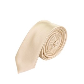 Premium Classic Solid Color 2" Skinny Necktie Neck Tie, Beige