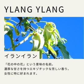 Tree of Life Ylang Ylang Essential Oil 50ml AEAJ Certified Essential Oil Essential Oil Aroma Oil Natural Herb