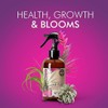Organic Ready to Spray Air Plant Food - Fertilizer Mist