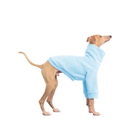 Dog Fleece Sweater Turtleneck Long Sleeve Pullover Sweatshirt Warm Puppy Clothes for Small Medium Dogs