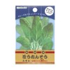 Sunstar Stationery S2817950 Sticky Notes, Loc Reichibung, Round Leaves