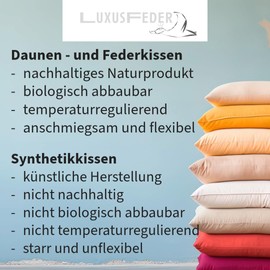 Luxusfeder Set of 2 Sofa Cushions 40 x 40 cm Down Filling 300 g – Cover 100% Cotton – Down Cushion Filling – Cushion Lining – Inner Cushion – Oeko-Tex