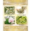 [All Day No Smell] Delicate Zone Soap, VIO, Dark Heads,