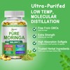 Moringa Softgels, Organic Pure Moringa Oleifera Leaves Extract for Energy,