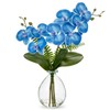 Blue Orchids Artificial Flowers, Faux Orchid in Glass Vase Real