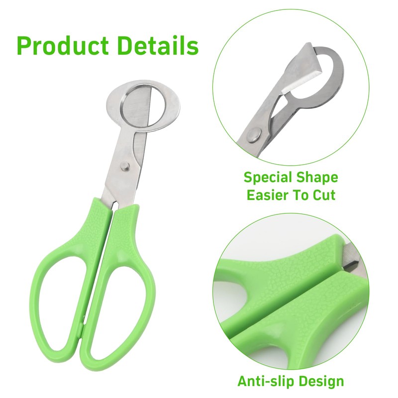 Dokeno Quail Egg Scissors 6 Pieces, Stainless Steel Quail Egg