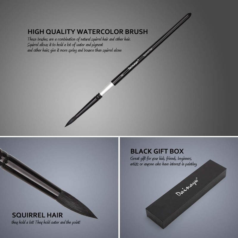 Dainayw Round Watercolor Paint Brushes 4Pcs Squirrel Hair Professional Brush