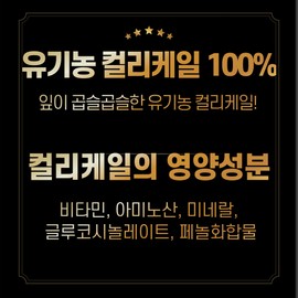 Dr. Lean Curly Kale Powder Song Joong-ki Curly Kale Organic 100% 3 Boxes / 닥터린 컬리케일 분말 송중기 곱슬케일 유기농 100% 3박스