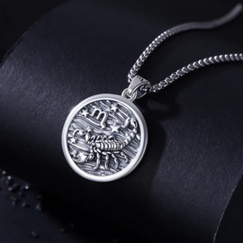 REDSUN Constellation Chain, Zodiac Necklace 925 Sterling Silver Constellation Pendant 12 Constellation Oxidised Necklace Jewellery for Women and Girls, Sterling Silver