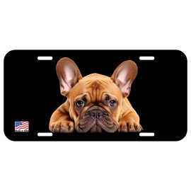 NOSTALGIC TAGS FRENCH BULLDOG FAWN LYING CAN PERSONALIZE NOVELTY METAL LICENSE PLATE B - B