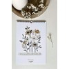 Perpetual Floral Birthday Calendar, Watercolour, A4, Perpetual and Year-Independent, Annual