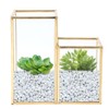 Glass Storage Container Garden Polygonal Column Golden Brass Bar Welding