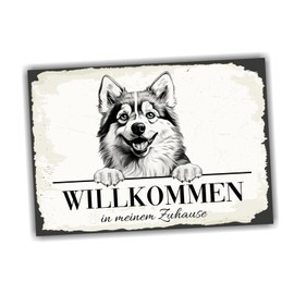 siviwonder Dog Sign Welcome Home Pomsky Pom Husky No.1 Dog Sign Saying Door Sign Warning Sign Mix Gift Idea Beautiful Saying Dog Motif Aluminium Weatherproof Dog Sign