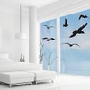 Bird Protection and Window Protection – 6 Stickers – Protection