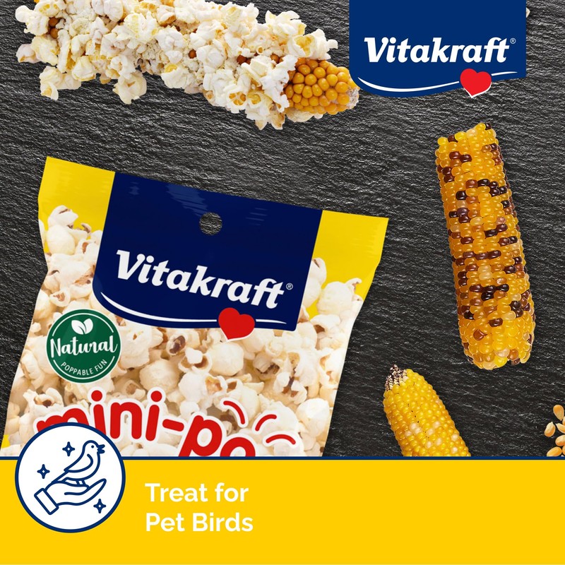 Vitakraft Mini-Pop Corn Cob Bird Treat 6 Ounce (Pack of