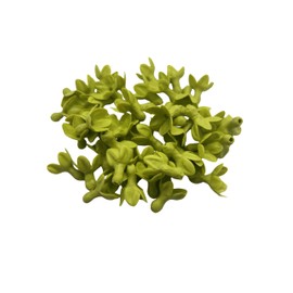 50 PCS Pakalana 03 (Cowslip Creeper) Flower Clay Beads for Jewelry Making, DIY, Craft Supplies