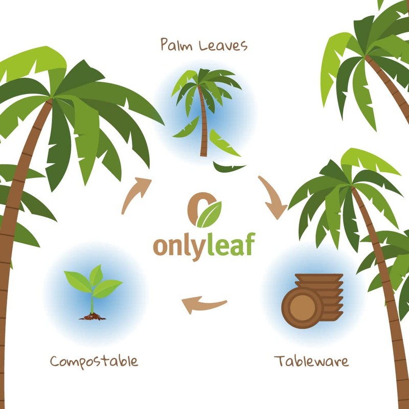 onlyleaf Palmware High-Quality Palm Leaf Tableware, Pack of 25 Palm